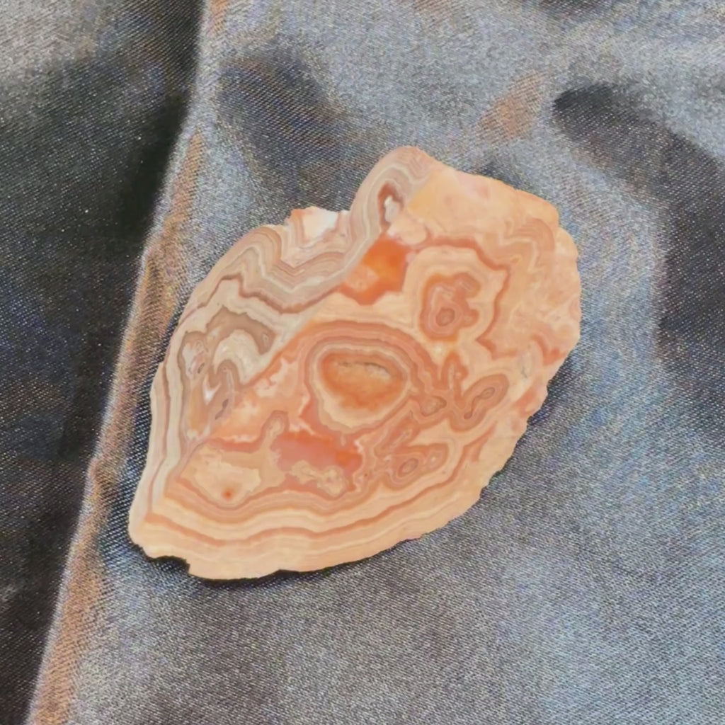 Polished Summerville Lace Agate with Botryoidal Back